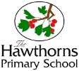 The Hawthorns Primary School